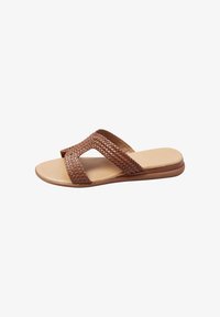 Non sélectionné, brown