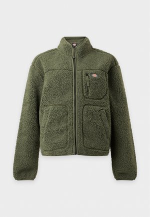 Dickies, MOUNT HOPE - Veste mi-saison - deep depths