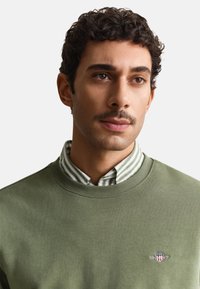 Homme aux cheveux courts et bouclés avec une moustache portant un pull vert à col rond sur une chemise à col rayée verte et blanche, sur un fond uni.