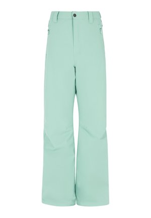 PRTSTERIO JR - Pantalon de ski - green baygreen