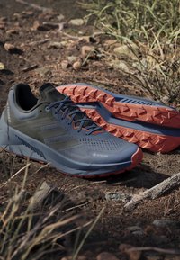 Scarpe da trail running con superiore in mesh blu scuro, accenti neri e suola in gomma rossa a motivi. Dotate di GORE-TEX per impermeabilità.