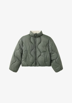 Veste matelassée verte avec col montant, fermeture éclair devant, manches longues et deux poches latérales, courte à la taille.