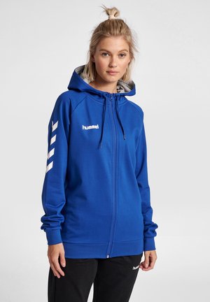 Blauwe zip-up hoodie met een grijze binnenspiegel, voorzien van witte branding en gemusterde accenten op de mouwen, gemaakt van een gladde, zachte stof.
