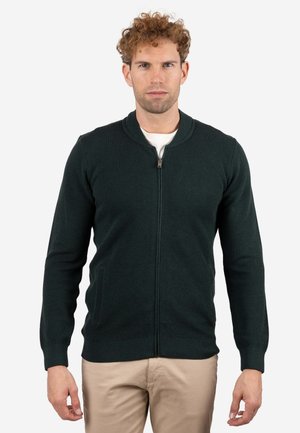 CUELLO  LISO GRANULADO  - Chaquetas bomber - verde