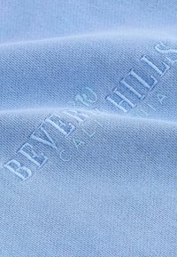 Next CITY GRAPHIC - Felpa - blue