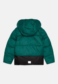 Reima WINTER TEISKO UNISEX - Vinterjakker - deeper green