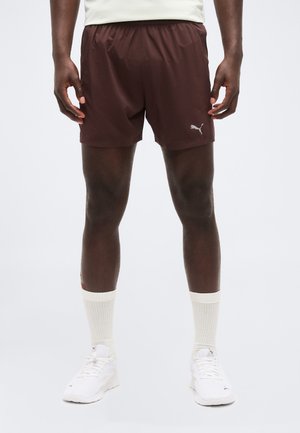 RUN VELOCITY SHORT - Sport rövidnadrágok - chocolate brown