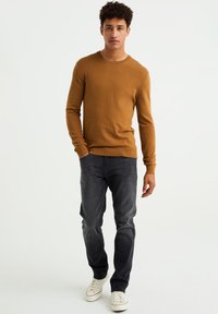 WE Fashion THE EVERYDAY - Džemperis - brown