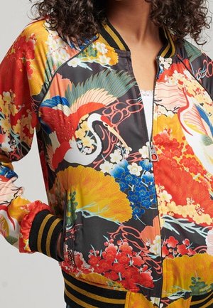 Blouson Bomber - multi-coloured