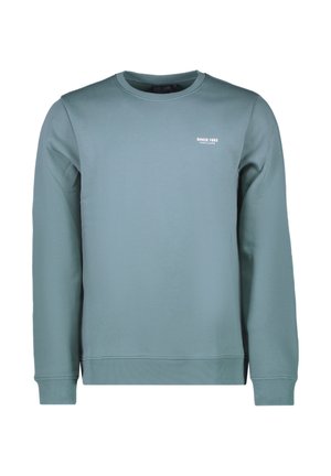 Lichtblauwe sweatshirt van gladde stof, met een ronde hals en geribbelde manchetten. Kleine witte tekst "SINCE 1982" op de borst.