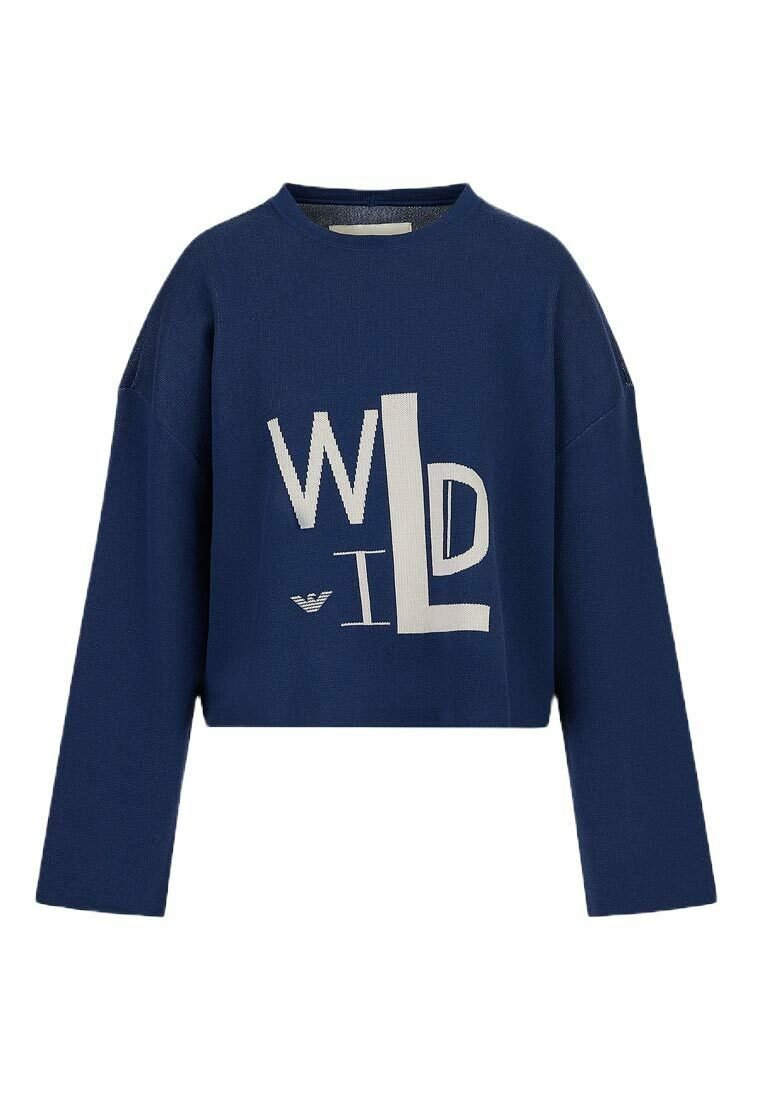 Emporio Armani Trui blauw