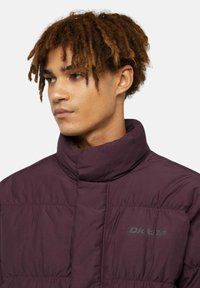 Giacca a vento bordeaux con colletto alto. Tessuto testurizzato con cuciture verticali e logo tonale sul petto. Design caldo e isolato.