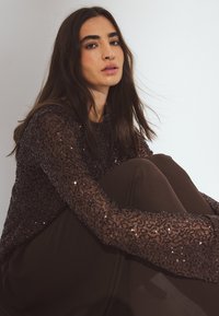 Bruine sequined longsleeve top met transparante details, gecombineerd met donkerbruine broeken. Model zittend tegen een lichte achtergrond.