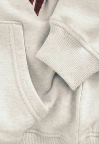 Light gray hoodie featuring ribbed cuffs and a pocket. Soft texture with an embroidered maroon detail near the neckline.