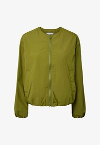 Non sélectionné, sphagnum