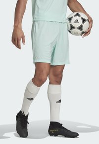 Licht mintgroen voetbalshirt en -short, zwarte voetbalschoenen met gele accenten, witte sokken met zwart logo, terwijl hij een zwart-wit voetbal vasthoudt.