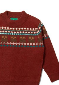 Roter Strickpullover mit einem gemusterten Einsatz, der braune Eulen, türkisfarbene Akzente und weiße geometrische Formen zeigt. Strukturierter Stoff mit Rundhalsausschnitt.