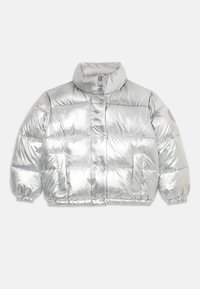 Jacket umplut argintie cu guler înalt, model matlasat, manșete elastice și un buzunar frontal. Fabricată dintr-un material lucios și ușor.