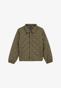 Valitud, army green