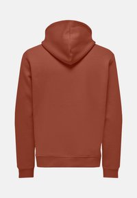 Een hoodie in een gedempte terracottakleur. Heeft een gladde textuur, lange mouwen en ribgebreide boorden en onderrand. Achteraanzicht weergegeven.