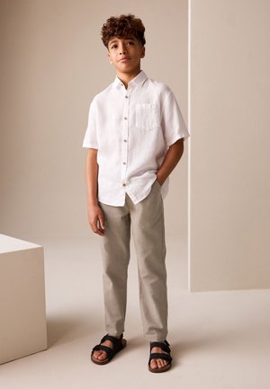 Next, REGULAR FIT - PULL ON - Pantaloni - tan brown