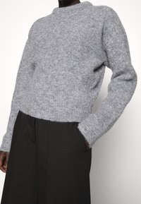 Holzweiler Jersey de punto - grey