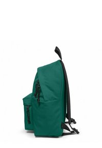 Mochila de tela verde con correas negras ajustables, bolsillo lateral y una tapa superior. Cuenta con cierre de cuerda y una textura suave.