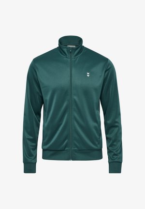 Groene sportjas met ritssluiting, gemaakt van glad, glanzend stof. Heeft een hoge kraag, lange mouwen en een klein wit logo op de borst.