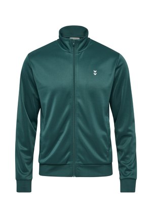 Grön sportjacka med dragkedja, tillverkad av slät, glansig tyg. Har hög krage, långa ärmar och en liten vit logotyp på bröstet.
