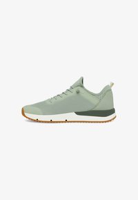 Ej vald, light green