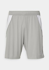 TIRO 24 - Korte sportsbukser - team mid grey/white