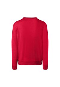 Jersey de punto rojo con manga larga, que presenta un escote redondo y puños acanalados. Textura suave sin patrones ni detalles adicionales.