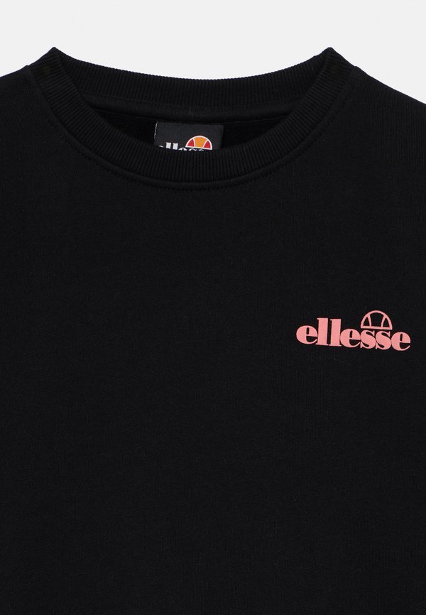 VANDELLAS - Sweatshirt3