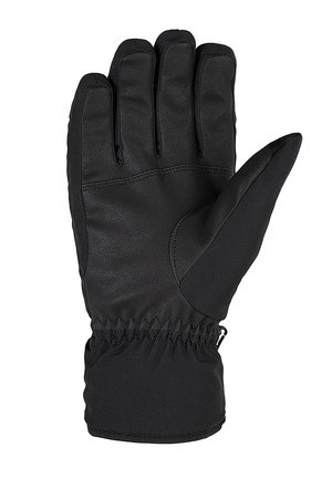 GARWEN GLOVE SKI ALPINE - Gloves - black
