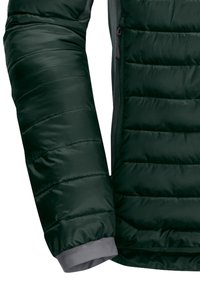 Jack Wolfskin ROUTEBURN PRO  - Giacca invernale - black olive   firefly