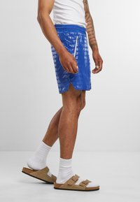 Reternity Shorts - blue