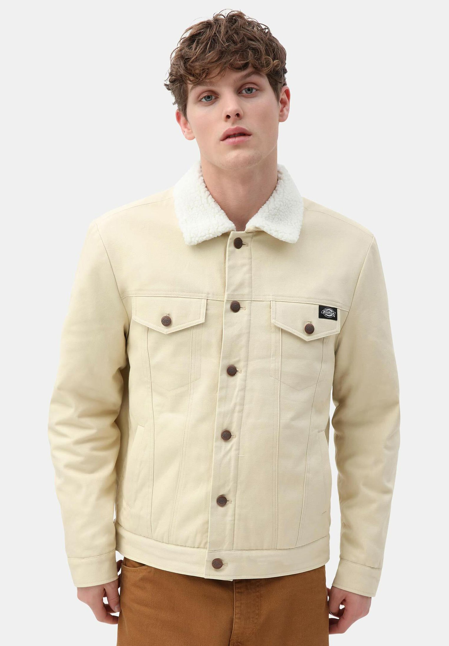 Dickies MARKSVILLE - Light jacket 