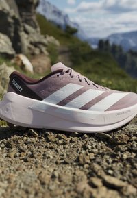 Ροζ ανοιχτό παπούτσι για τρέξιμο Adidas Terrex με λευκές ρίγες εναποτίθεται σε βραχώδες ορεινό μονοπάτι με θαμπό πράσινο και κορυφές στο βάθος.