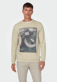 Only & Sons ONSTODD REG PHOTOPRINT CREW NECK - Felpa - smoke gray