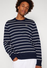 Marineblauwe gestreepte trui met witte horizontale strepen. Beschikt over een geribde halslijn en manchetten, met een klein groen logo op de borst.