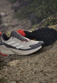 Adidas Terrex TRAILMAKER 2 GORE-TEX UNISEX beżowy