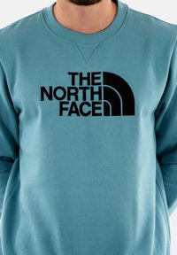 Felpa in cotone blu con collo a giro, caratterizzata da un grande logo nero "THE NORTH FACE" sul petto. Tessuto semplice e liscio.