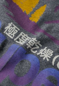 Superdry & Co GREAT OUTDOORS GRAPHIC - T-shirts print - granite grey marl