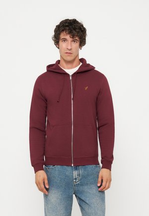 Jeune homme aux cheveux bouclés portant un sweat à capuche bordeaux zippé et un jean bleu, debout devant un fond blanc uni.