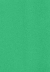 Yhdenmukainen vihreä kangas, jossa on sileä pinta ja hieman kiiltoa. Tasaisesti värjätty ilman kuvioita tai koristeita.