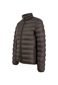 Brązowa kurtka puchowa z wysokim kołnierzem, zapięciem na zamek i przeszywanym wzorem. Gładka tekstura i lekki materiał dla izolacji.