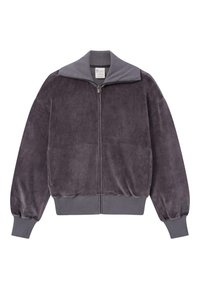 Veste zippée en peluche grise avec un col haut, épaules tombantes, poignets et ourlet côtelés ; présente un accent logo sur la manche.