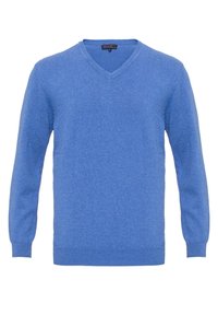 Pull léger bleu clair à manches longues avec col en V, poignets et ourlet côtelés, doté d'un petit logo brodé sur le côté gauche de la poitrine.