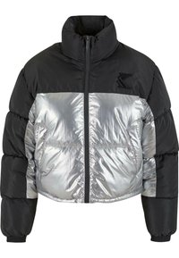 Chaqueta de invierno - silver