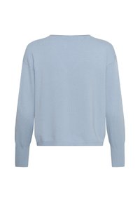 Pull tricoté bleu clair à manches longues avec poignets et ourlet côtelés, vu de dos sur fond blanc.